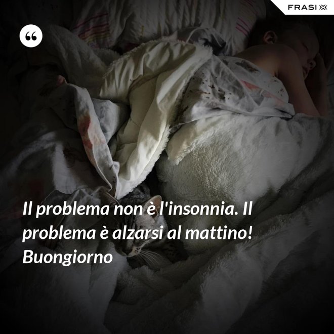 Il problema non è l'insonnia. Il problema è alzarsi al mattino! Buongiorno - Anonimo