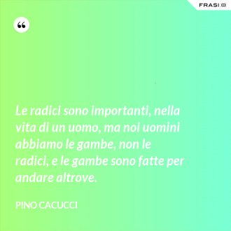 Le radici sono importanti, nella vita di un uomo, ma noi uomini abbiamo le gambe, non le radici, e le gambe sono fatte per andare altrove. - Pino Cacucci
