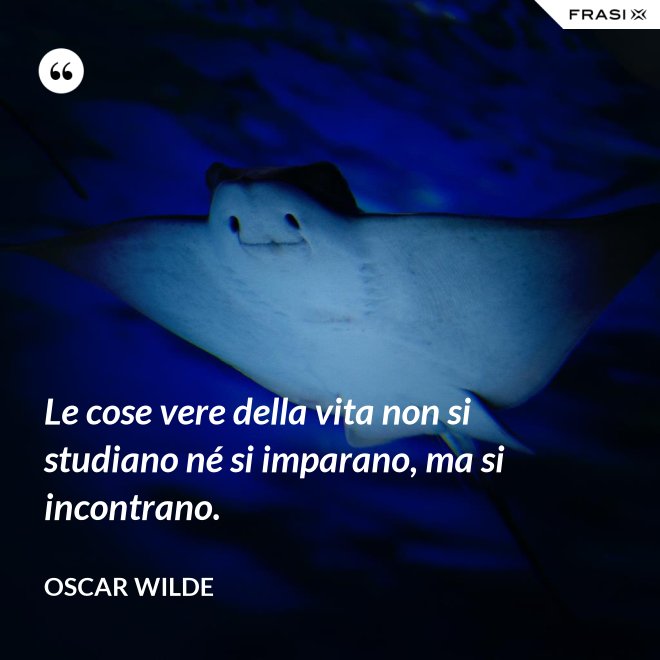 Le cose vere della vita non si studiano né si imparano, ma si incontrano. - Oscar Wilde
