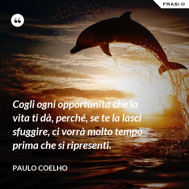 Cogli ogni opportunità che la vita ti dà, perché, se te la lasci sfuggire, ci vorrà molto tempo prima che si ripresenti. - Paulo Coelho