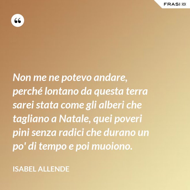 Non me ne potevo andare, perché lontano da questa terra sarei stata come gli alberi che tagliano a Natale, quei poveri pini senza radici che durano un po' di tempo e poi muoiono. - Isabel Allende
