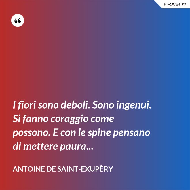 I fiori sono deboli. Sono ingenui. Si fanno coraggio come possono. E con le spine pensano di mettere paura... - Antoine de Saint-Exupèry