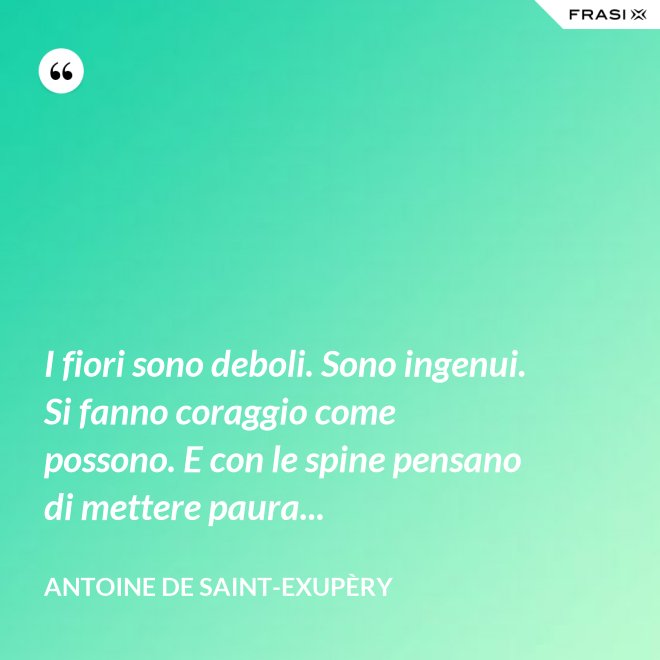 I fiori sono deboli. Sono ingenui. Si fanno coraggio come possono. E con le spine pensano di mettere paura... - Antoine de Saint-Exupèry
