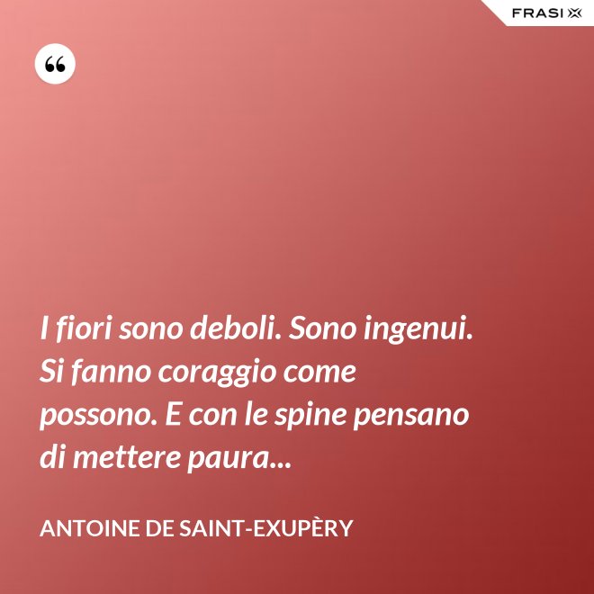 I fiori sono deboli. Sono ingenui. Si fanno coraggio come possono. E con le spine pensano di mettere paura... - Antoine de Saint-Exupèry