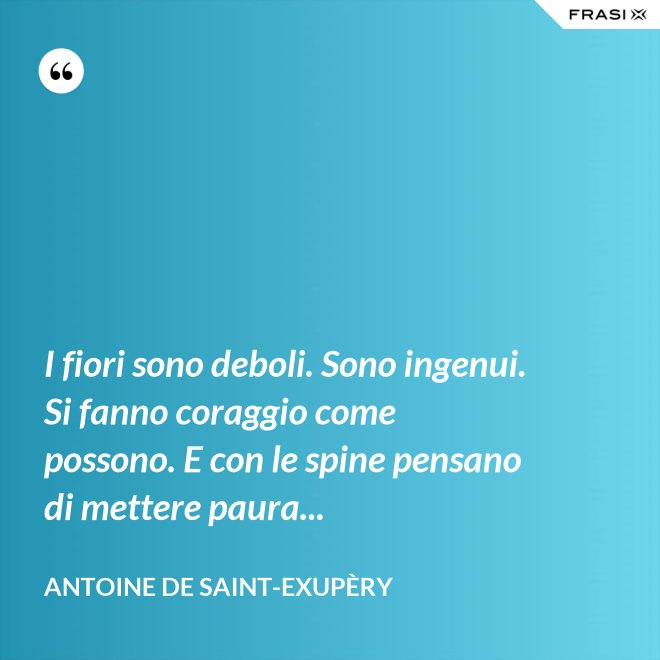 I fiori sono deboli. Sono ingenui. Si fanno coraggio come possono. E con le spine pensano di mettere paura... - Antoine de Saint-Exupèry