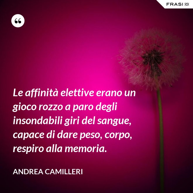 Le affinità elettive erano un gioco rozzo a paro degli insondabili giri del sangue, capace di dare peso, corpo, respiro alla memoria. - Andrea Camilleri