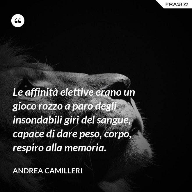 Le affinità elettive erano un gioco rozzo a paro degli insondabili giri del sangue, capace di dare peso, corpo, respiro alla memoria. - Andrea Camilleri