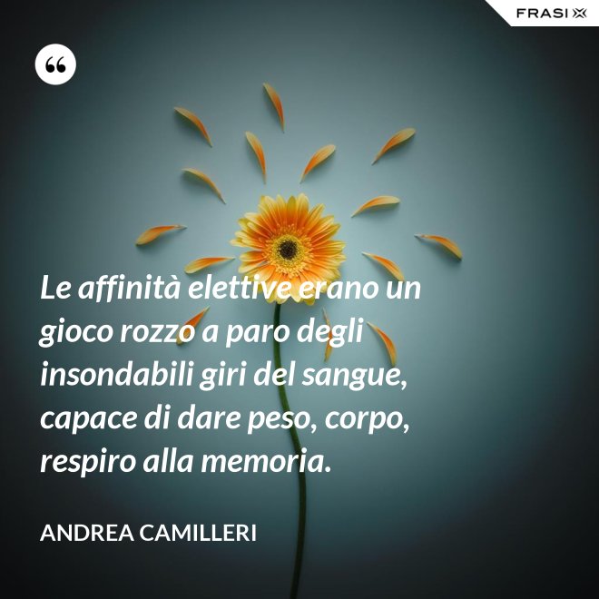 Le affinità elettive erano un gioco rozzo a paro degli insondabili giri del sangue, capace di dare peso, corpo, respiro alla memoria. - Andrea Camilleri