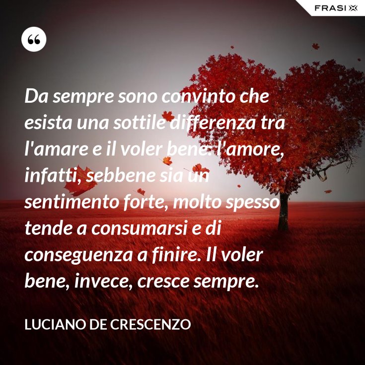 La Differenza Tra Voler Bene E Amare Testo