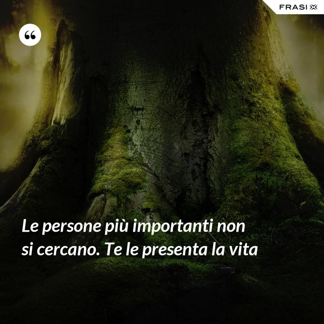 Le persone più importanti non si cercano. Te le presenta la vita - Anonimo
