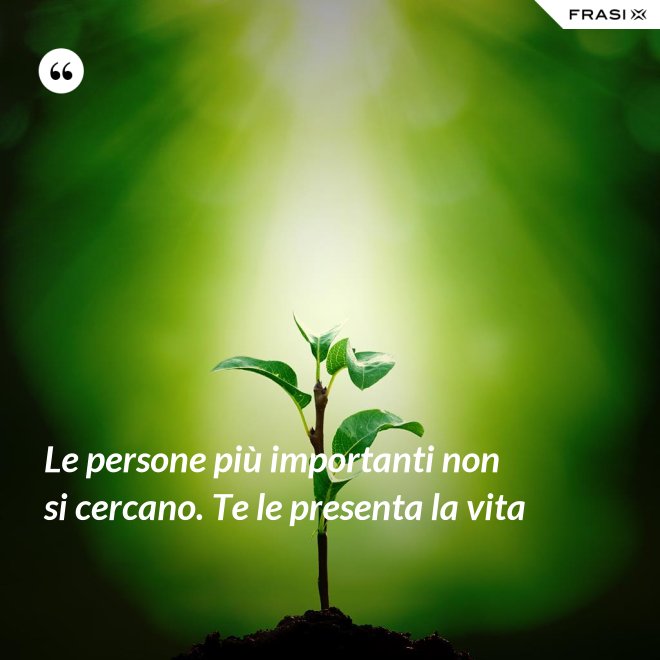 Le persone più importanti non si cercano. Te le presenta la vita - Anonimo