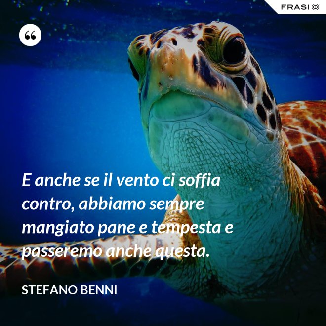 E anche se il vento ci soffia contro, abbiamo sempre mangiato pane e tempesta e passeremo anche questa. - Stefano Benni
