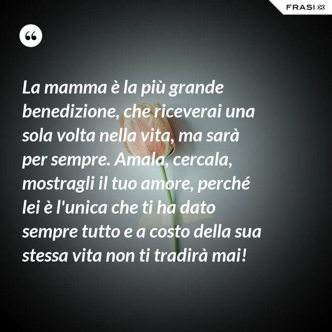 La mamma è la più grande benedizione, che riceverai una sola volta nella vita, ma sarà per sempre. Amala, cercala, mostragli il tuo amore, perché lei è l'unica che ti ha dato sempre tutto e a costo della sua stessa vita non ti tradirà mai! - Anonimo