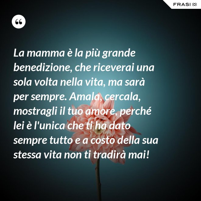 La mamma è la più grande benedizione, che riceverai una sola volta nella vita, ma sarà per sempre. Amala, cercala, mostragli il tuo amore, perché lei è l'unica che ti ha dato sempre tutto e a costo della sua stessa vita non ti tradirà mai! - Anonimo