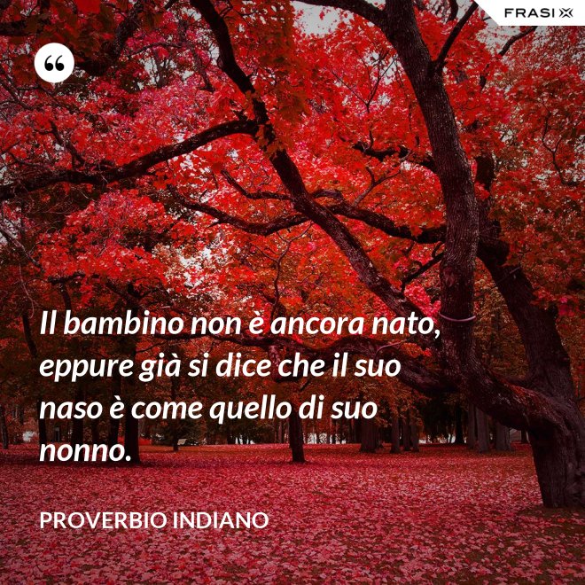 Il bambino non è ancora nato, eppure già si dice che il suo naso è come quello di suo nonno. - Proverbio Indiano
