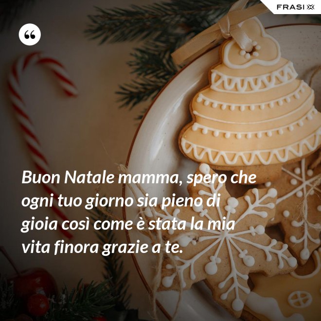 Buon Natale mamma, spero che ogni tuo giorno sia pieno di gioia così come è stata la mia vita finora grazie a te. - Anonimo