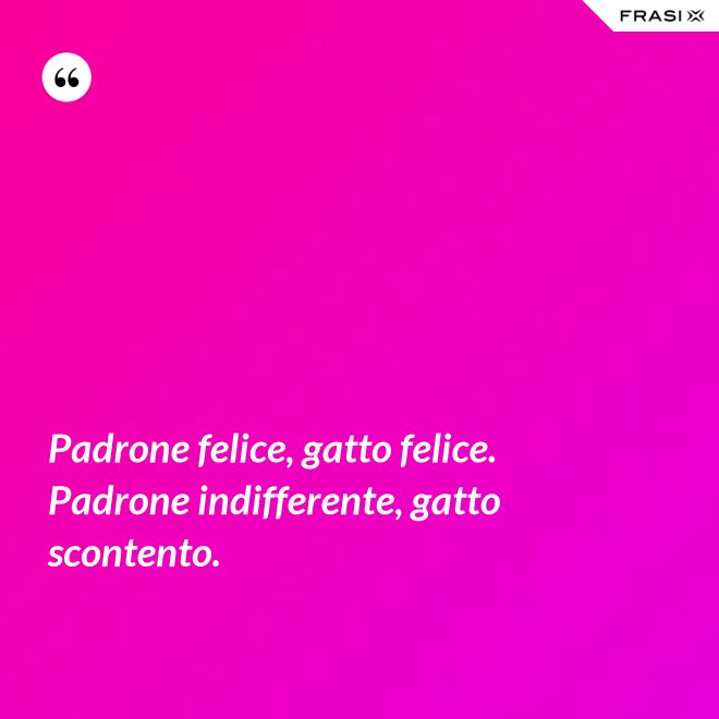 Padrone felice, gatto felice. Padrone indifferente, gatto scontento. - Anonimo