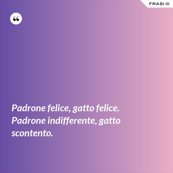 Padrone felice, gatto felice. Padrone indifferente, gatto scontento. - Anonimo
