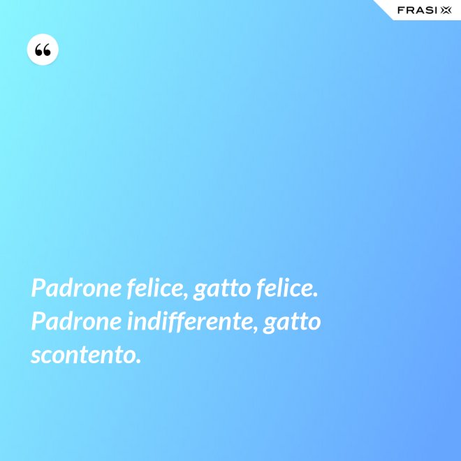 Padrone felice, gatto felice. Padrone indifferente, gatto scontento. - Anonimo