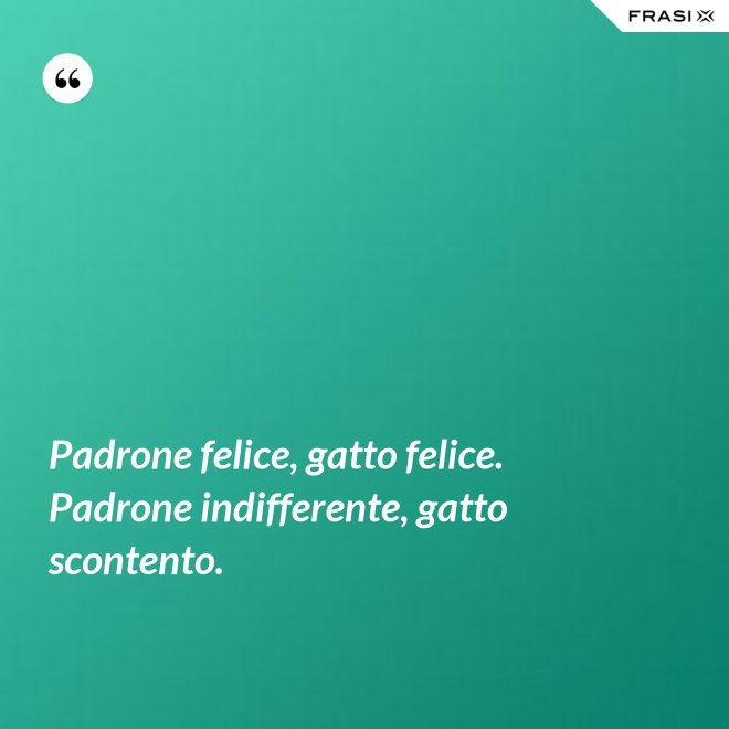 Padrone felice, gatto felice. Padrone indifferente, gatto scontento. - Anonimo