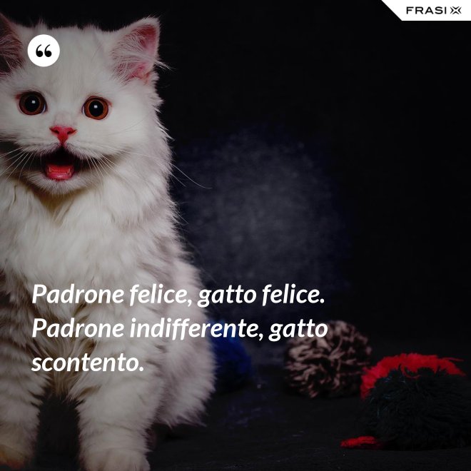 Padrone felice, gatto felice. Padrone indifferente, gatto scontento. - Anonimo