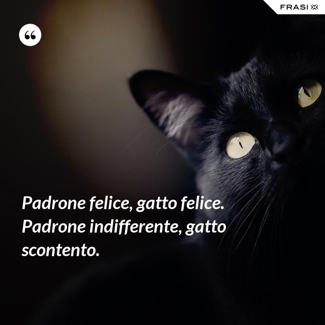 Padrone felice, gatto felice. Padrone indifferente, gatto scontento. - Anonimo