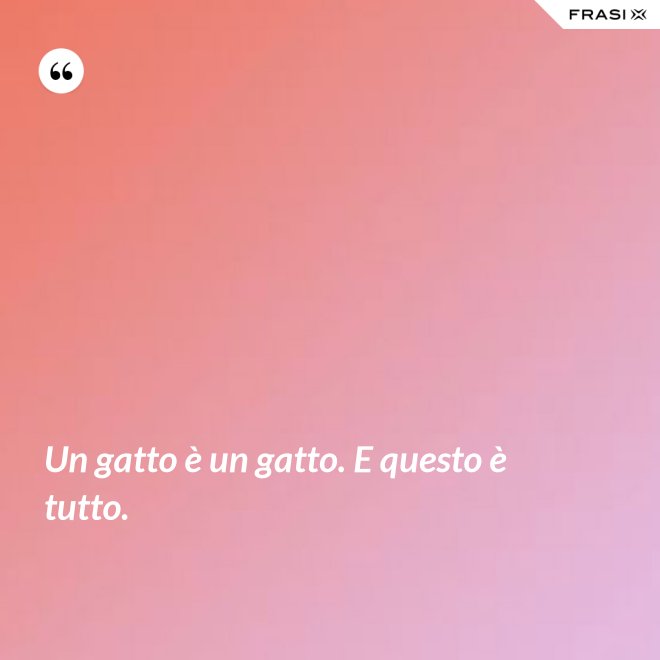 Un gatto è un gatto. E questo è tutto. - Anonimo