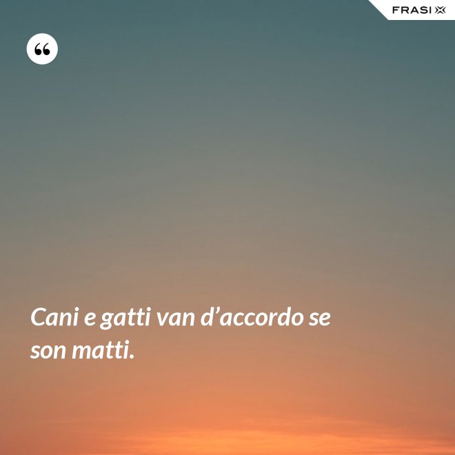 Cani e gatti van d’accordo se son matti. - Anonimo