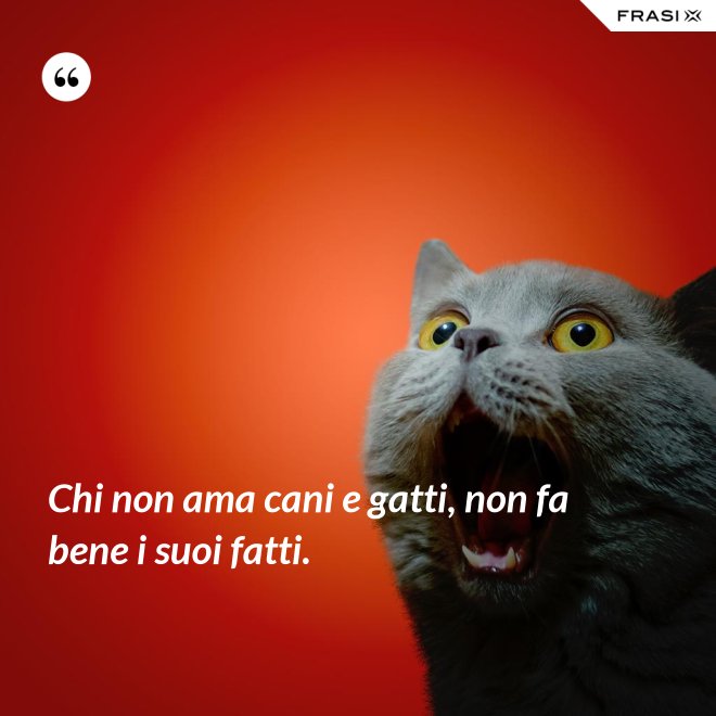Chi non ama cani e gatti, non fa bene i suoi fatti. - Anonimo