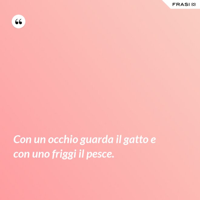 Con un occhio guarda il gatto e con uno friggi il pesce. - Anonimo