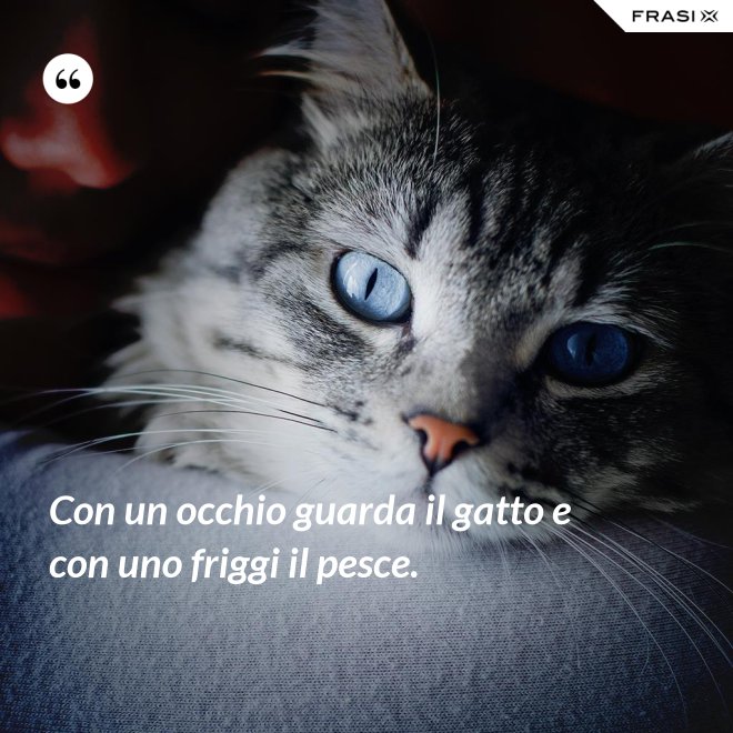 Con un occhio guarda il gatto e con uno friggi il pesce. - Anonimo