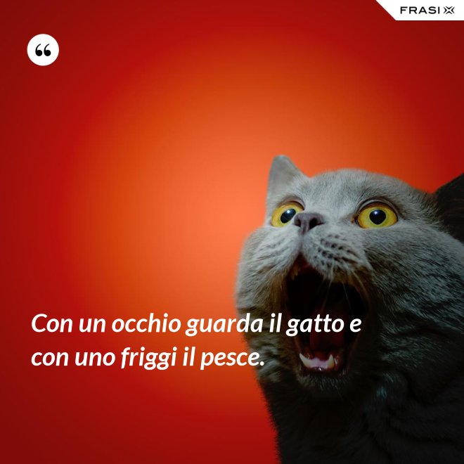 Con un occhio guarda il gatto e con uno friggi il pesce. - Anonimo