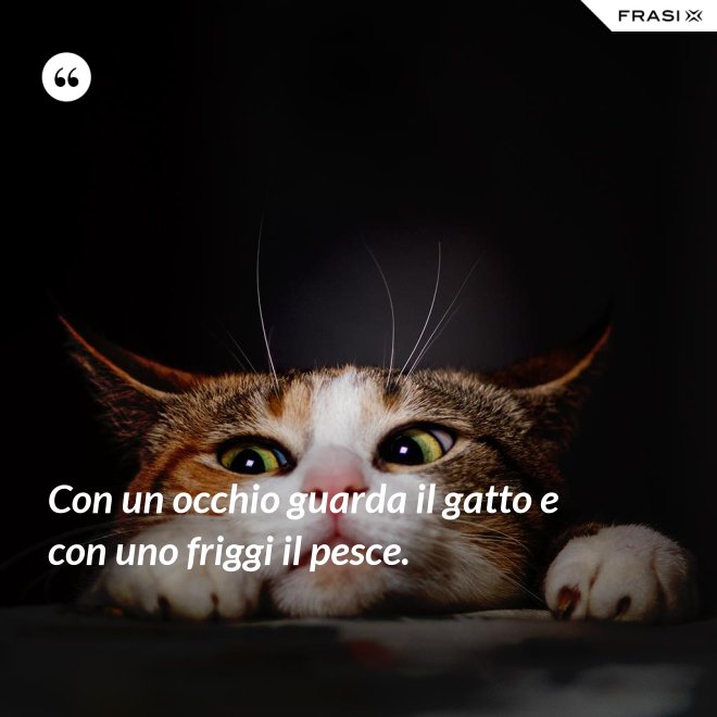 Con un occhio guarda il gatto e con uno friggi il pesce. - Anonimo