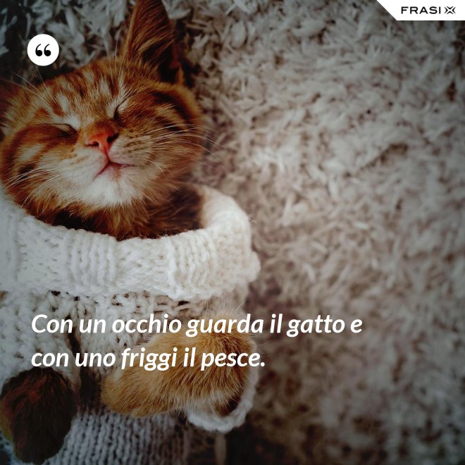 Con un occhio guarda il gatto e con uno friggi il pesce. - Anonimo