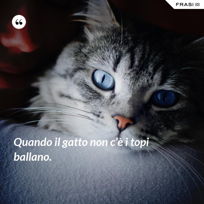 Quando il gatto non c’è i topi ballano. - Anonimo
