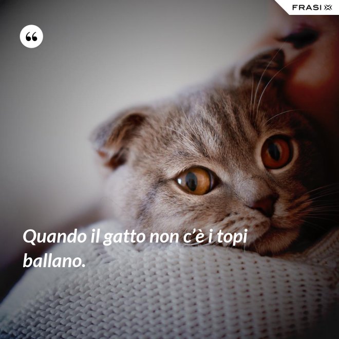 Quando il gatto non c’è i topi ballano. - Anonimo