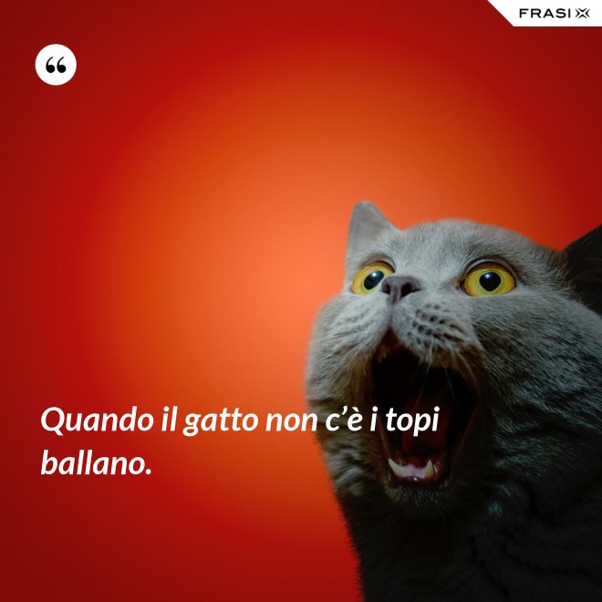 Quando il gatto non c’è i topi ballano. - Anonimo