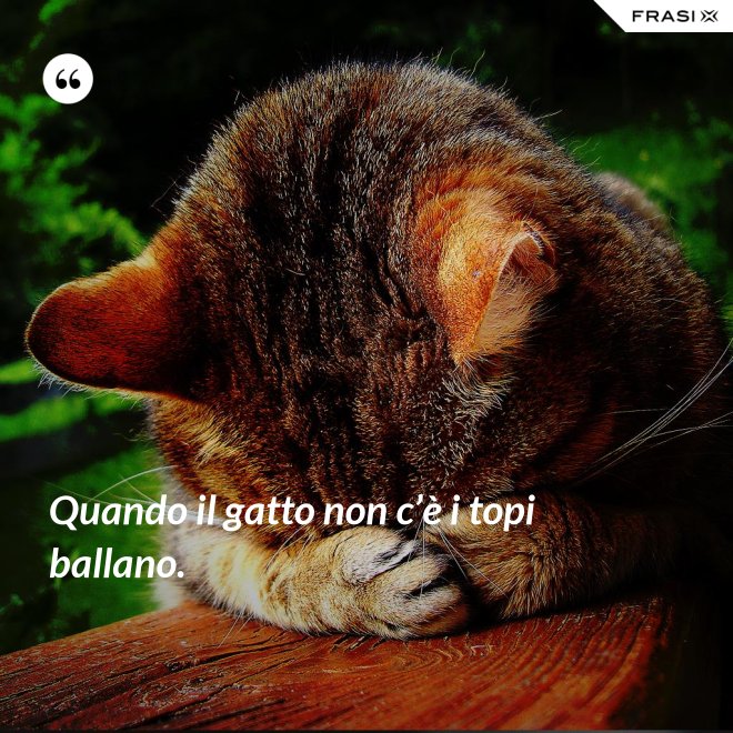 Quando il gatto non c’è i topi ballano. - Anonimo
