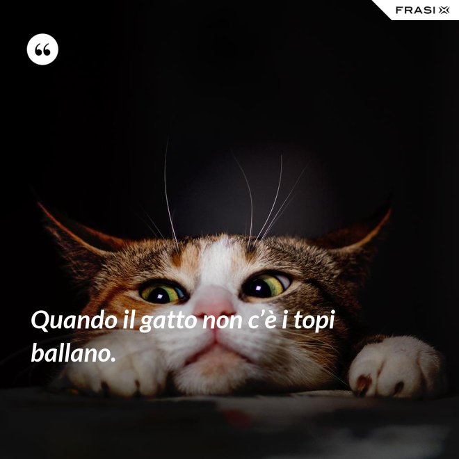Quando il gatto non c’è i topi ballano. - Anonimo