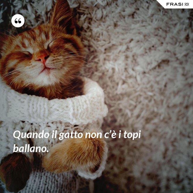 Quando il gatto non c’è i topi ballano. - Anonimo