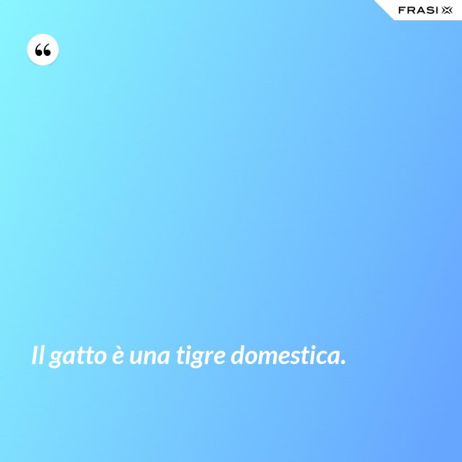 Il gatto è una tigre domestica. - Anonimo