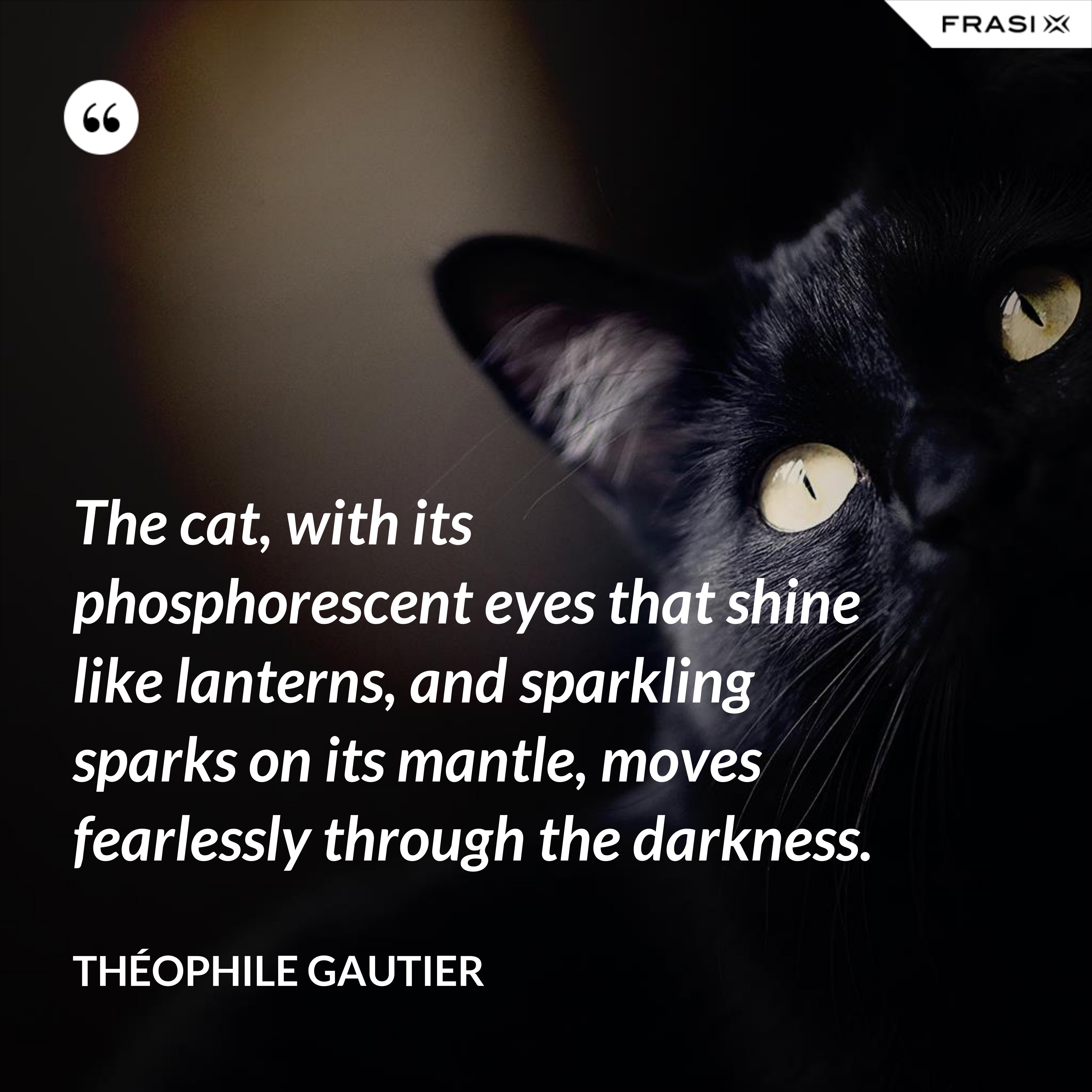 The cat, with its phosphorescent eyes that shine like lanterns, and sparkling sparks on its mantle, moves fearlessly through the darkness. - Théophile Gautier