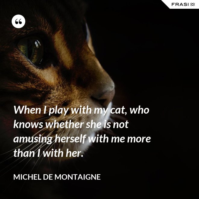 When I play with my cat, who knows whether she is not amusing herself with me more than I with her. - Michel de Montaigne