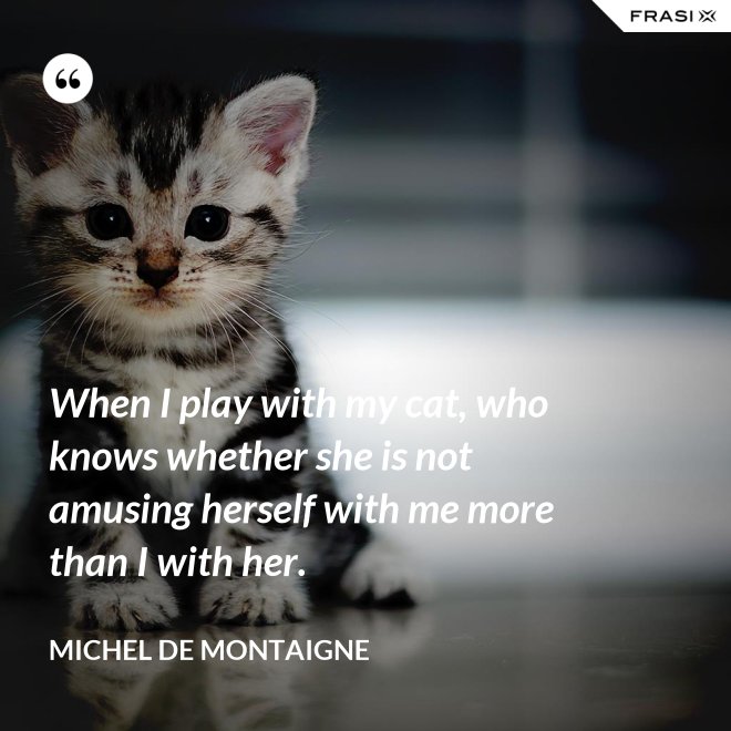When I play with my cat, who knows whether she is not amusing herself with me more than I with her. - Michel de Montaigne