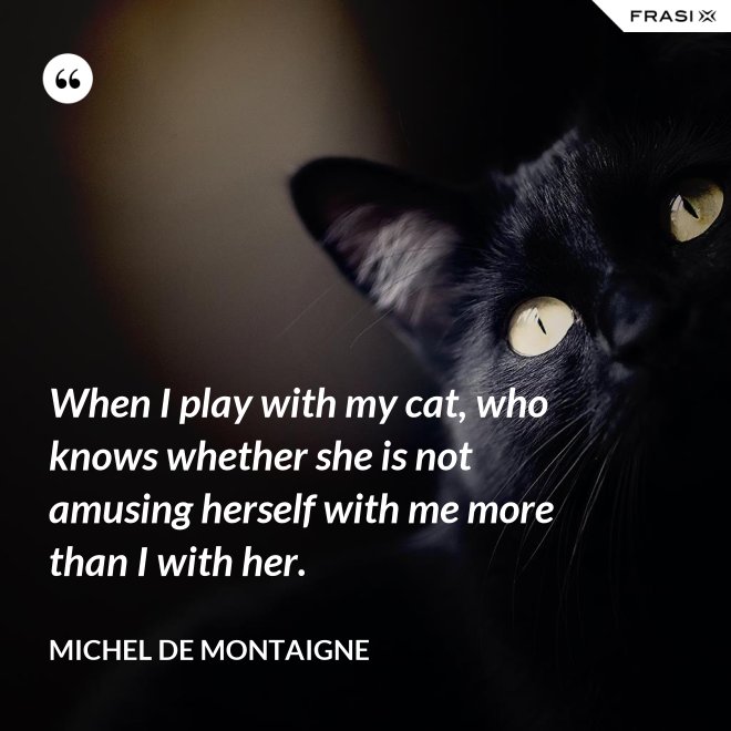 When I play with my cat, who knows whether she is not amusing herself with me more than I with her. - Michel de Montaigne