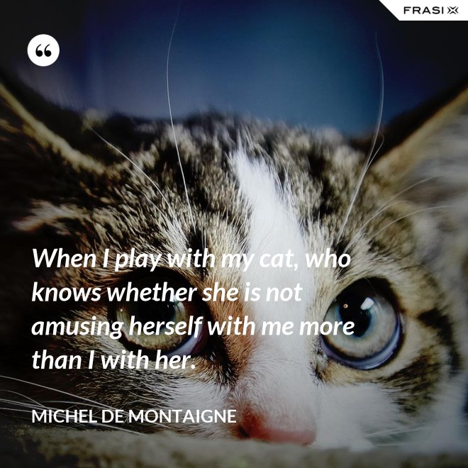 When I play with my cat, who knows whether she is not amusing herself with me more than I with her. - Michel de Montaigne