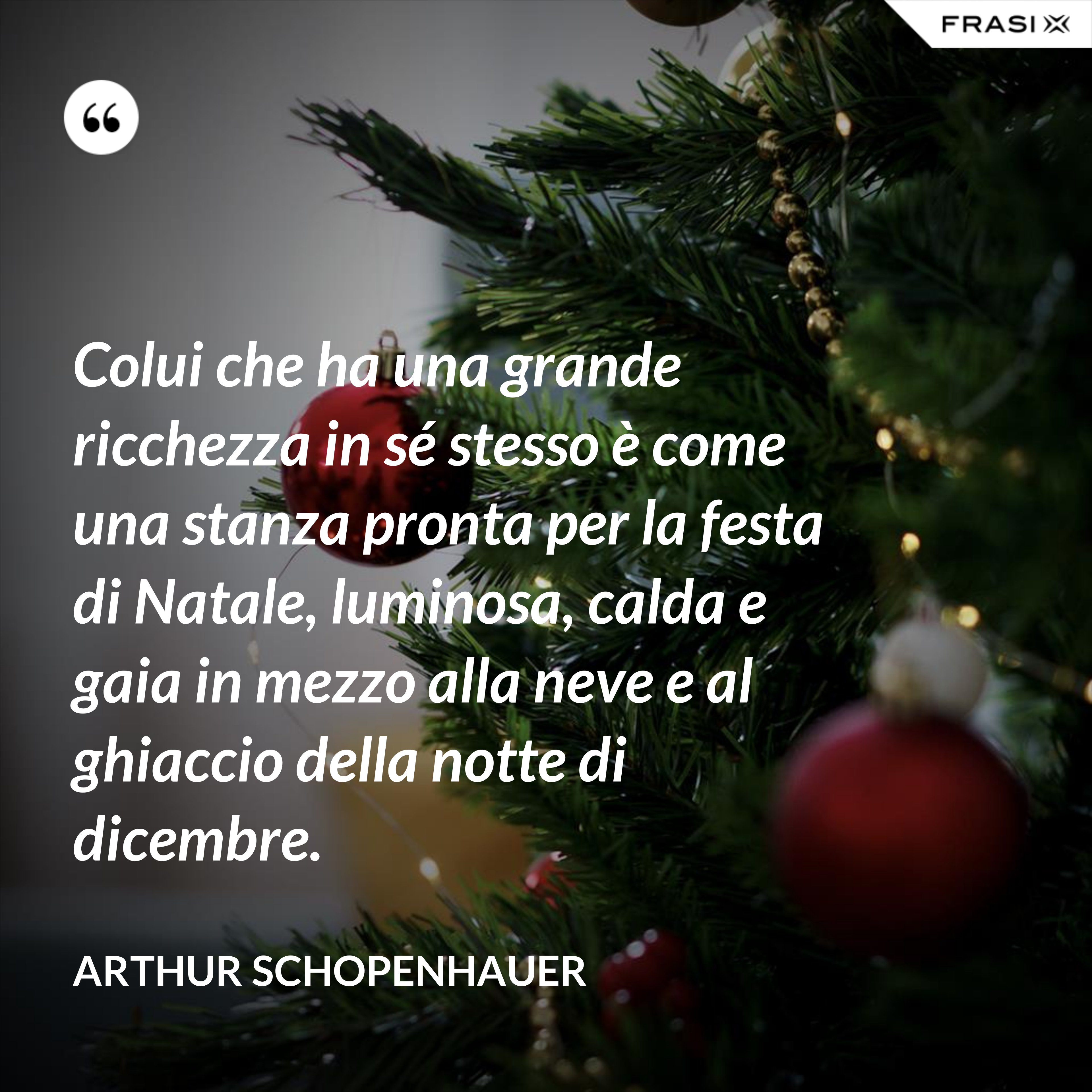 Colui che ha una grande ricchezza in sé stesso è come una stanza pronta per la festa di Natale, luminosa, calda e gaia in mezzo alla neve e al ghiaccio della notte di dicembre. - Arthur Schopenhauer