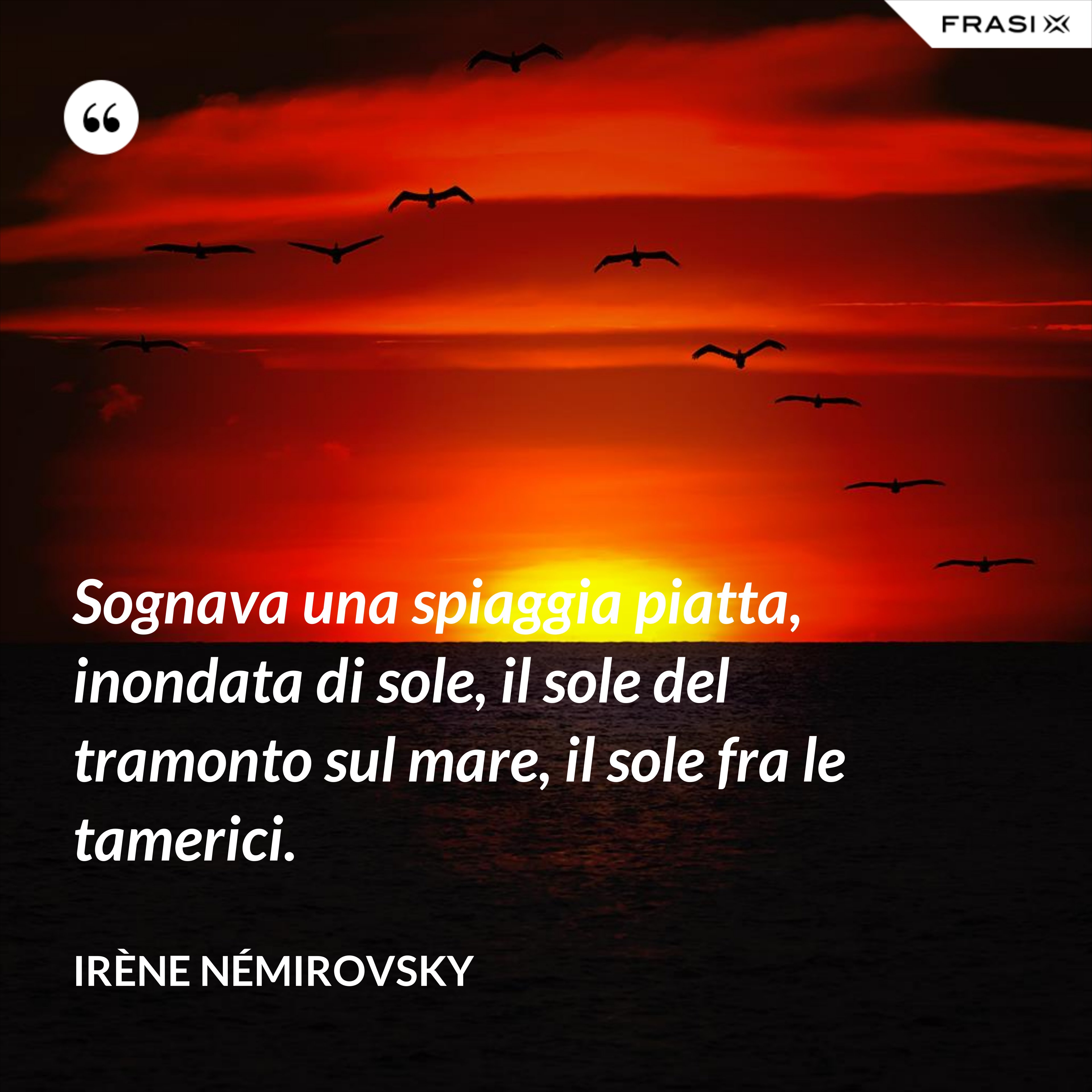 Sognava una spiaggia piatta, inondata di sole, il sole del tramonto sul mare, il sole fra le tamerici. - Irène Némirovsky