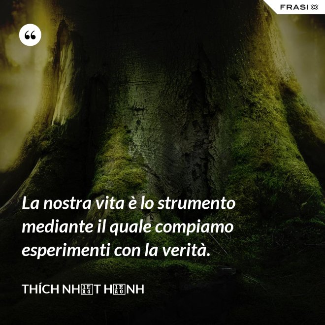 La nostra vita è lo strumento mediante il quale compiamo esperimenti con la verità. - Thích Nhất Hạnh