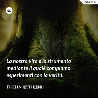 La nostra vita è lo strumento mediante il quale compiamo esperimenti con la verità. - Thích Nhất Hạnh